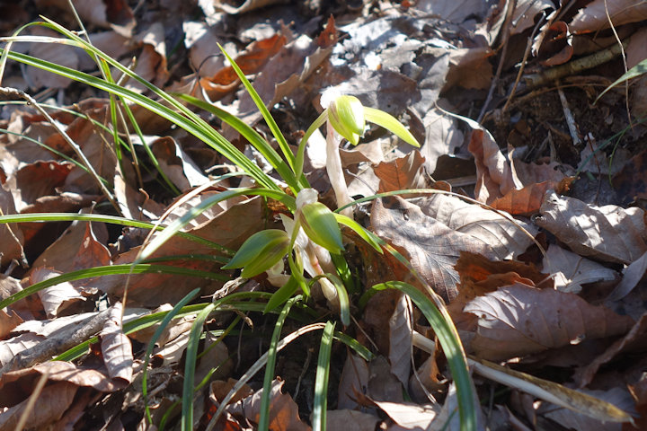 �V��������